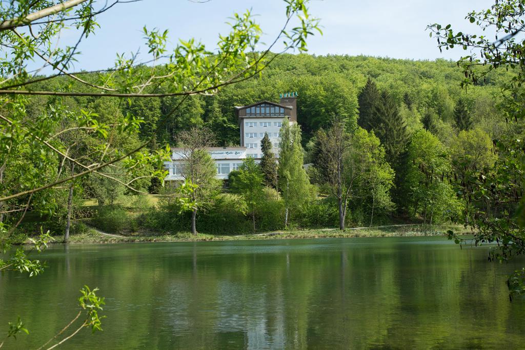 Hotel Reifenstein Kleinbartloff Eksteriør bilde